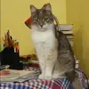 Отзыв от София Елисеева